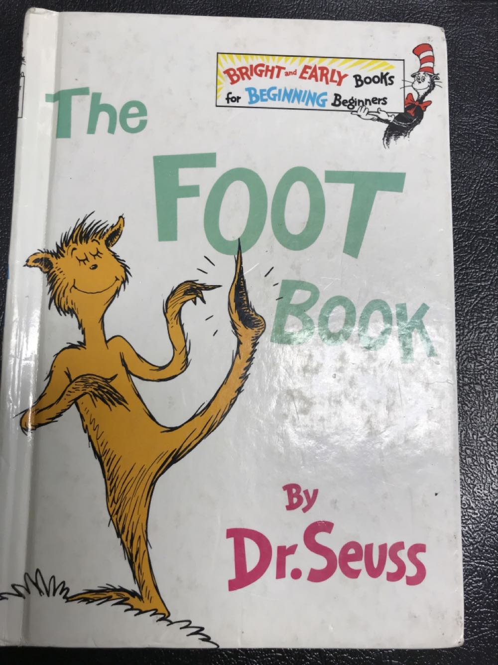 The Foot Book