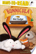 Hot Fudge