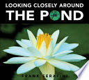 Looking Closely Around the Pond