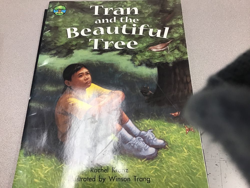 Tran and the Beautiful Tree