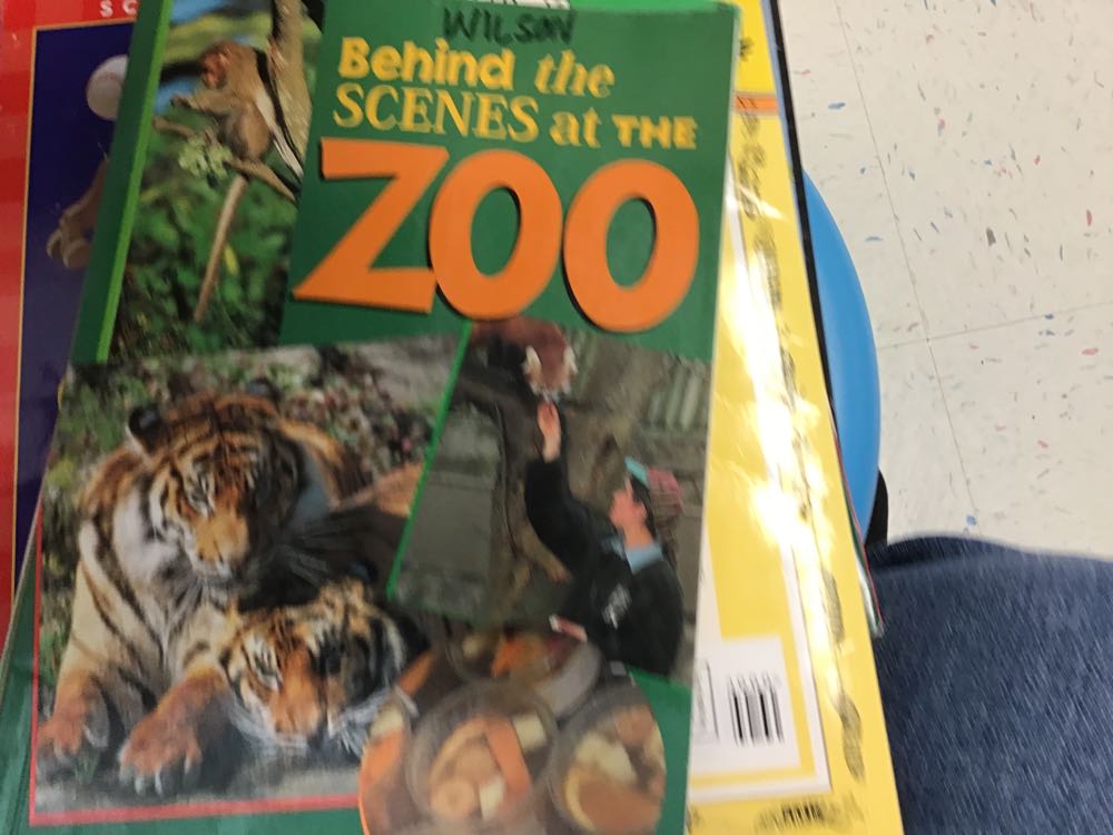 Behind the Scenes at the Zoo