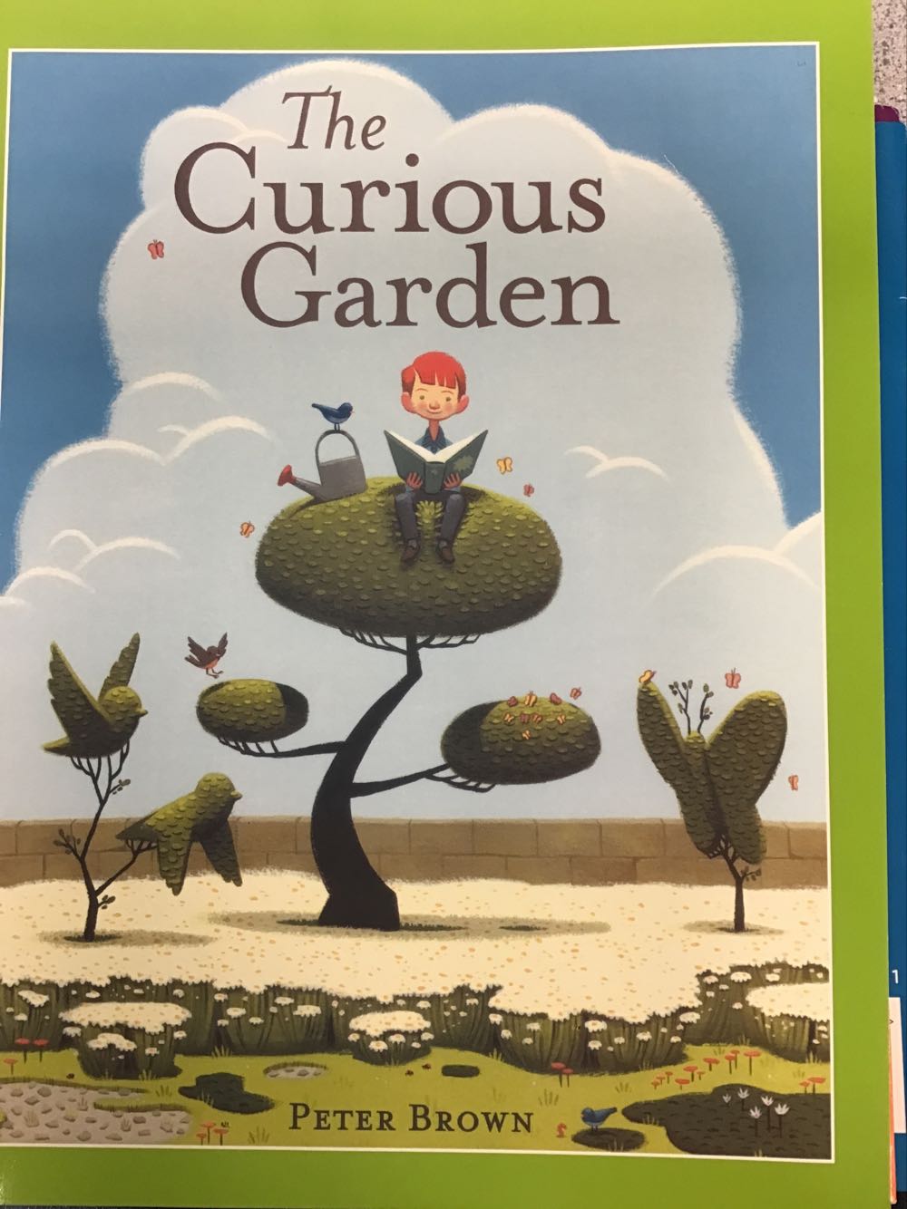 The Curios Garden