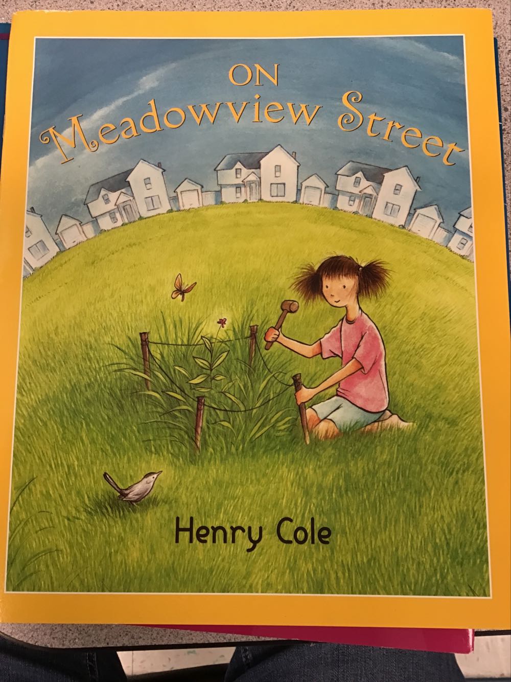 On Meadowview Street