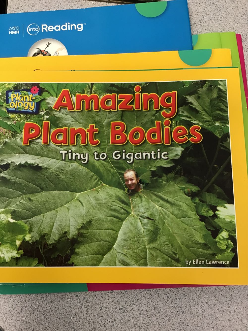 Amazing Plant Bodies