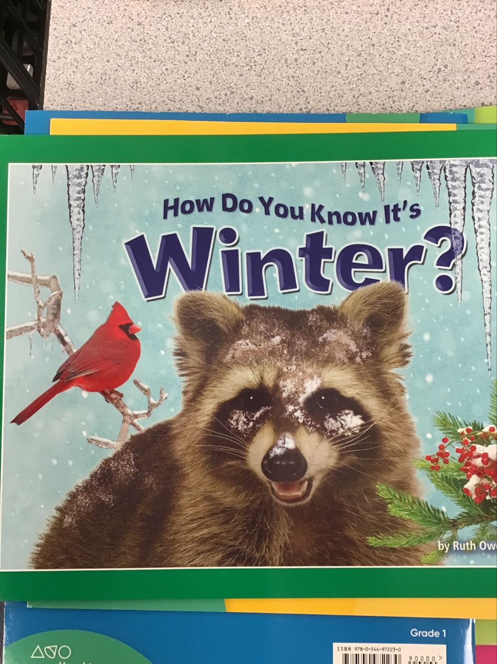 How Do You Know It’s Winter