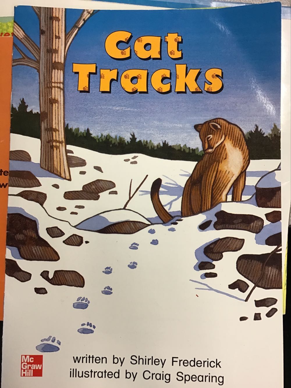 Cat Tracks