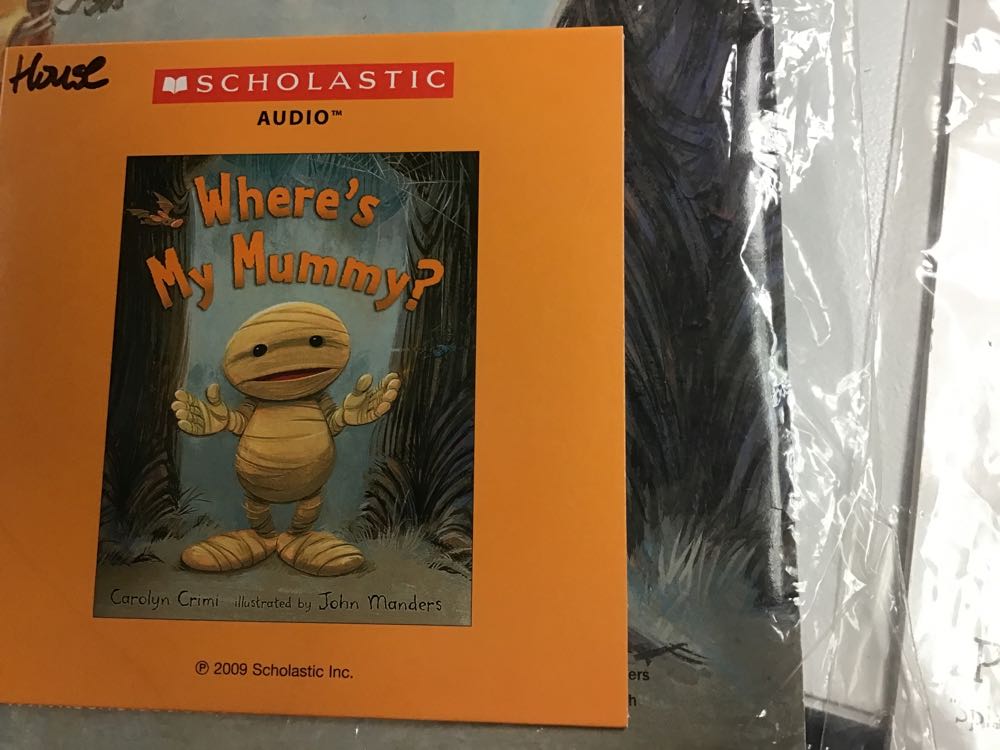 Huge Set Lot Of 48 Scholastic Audio Book Cd ...