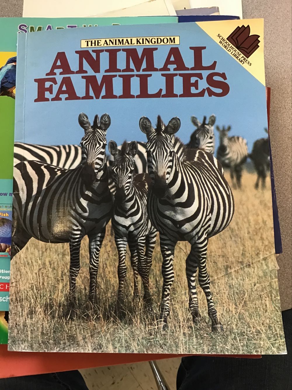 Animal Families