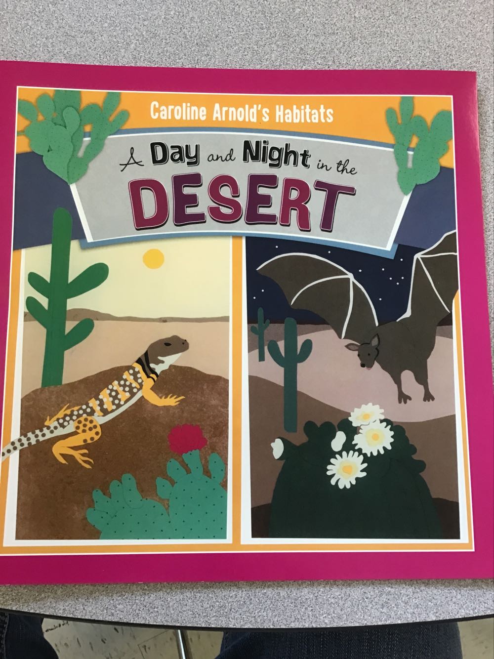 A Day And Night In The Desert