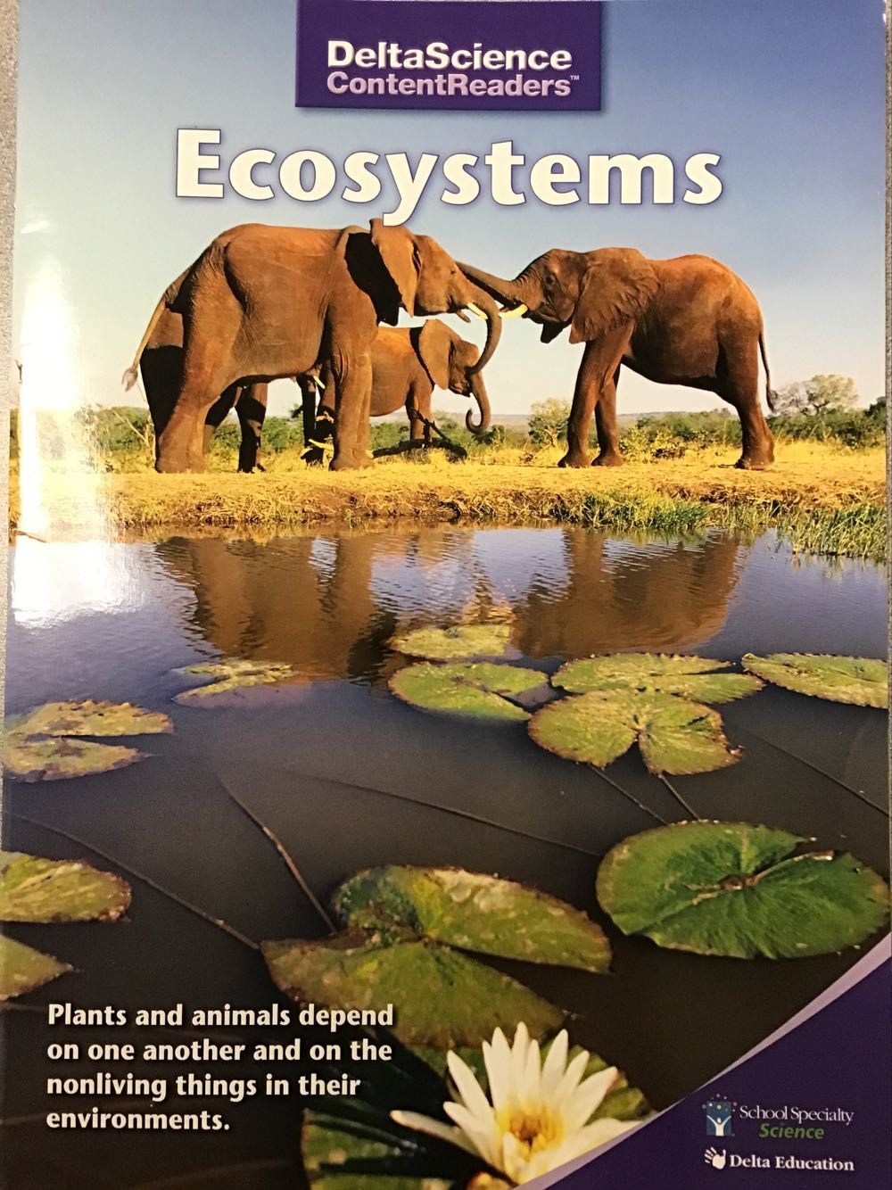Rdr Dscr Ecosystems Purple Ea