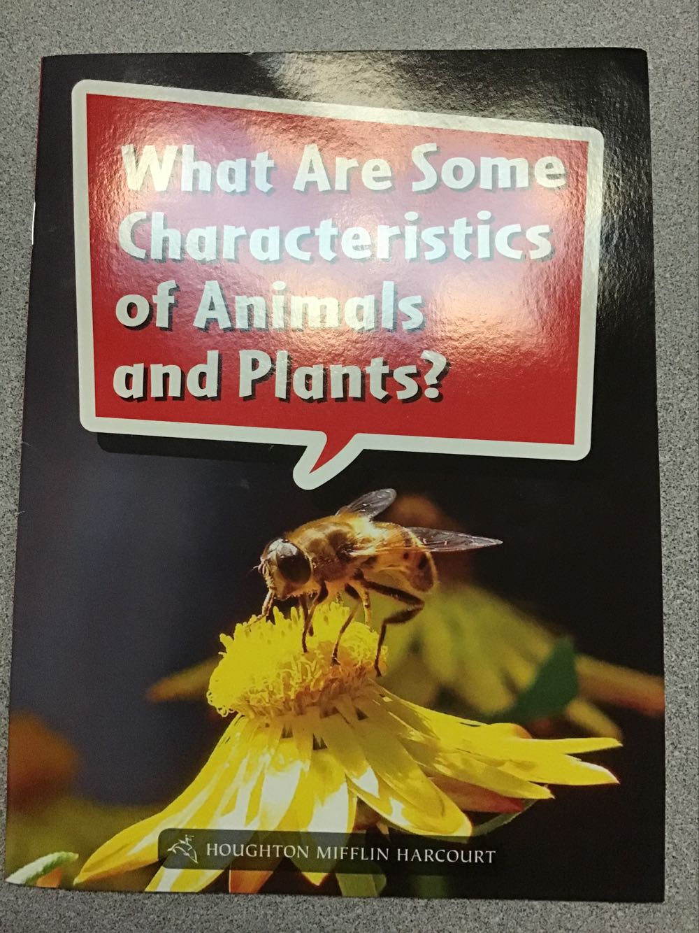 What Are Some Characteristics of Animals and Plants? Grade 2 Book 70