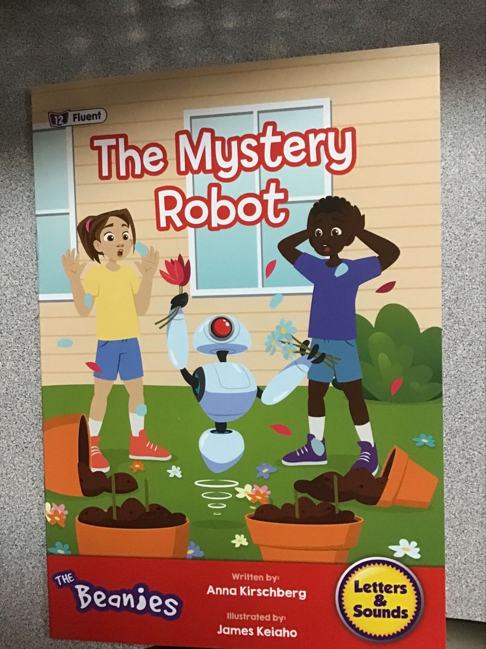 The Mystery Robot