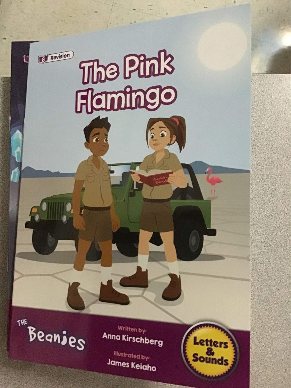 The Pink Flamingo