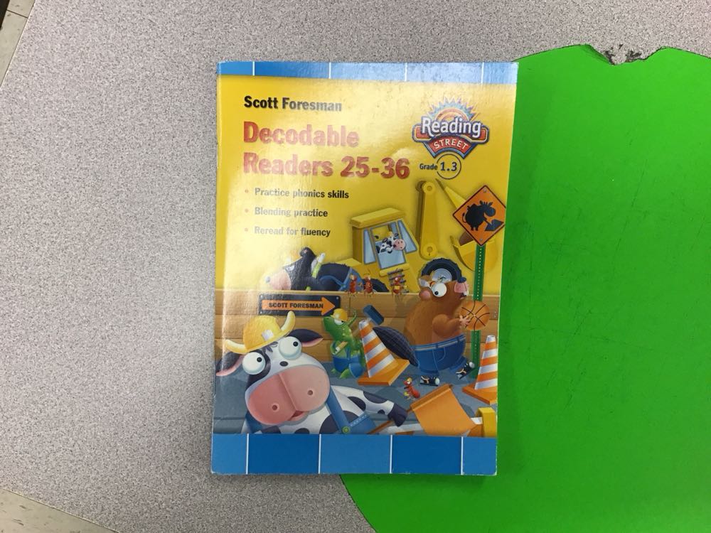 Reading 2007 Decodable Reader Grade 1.3