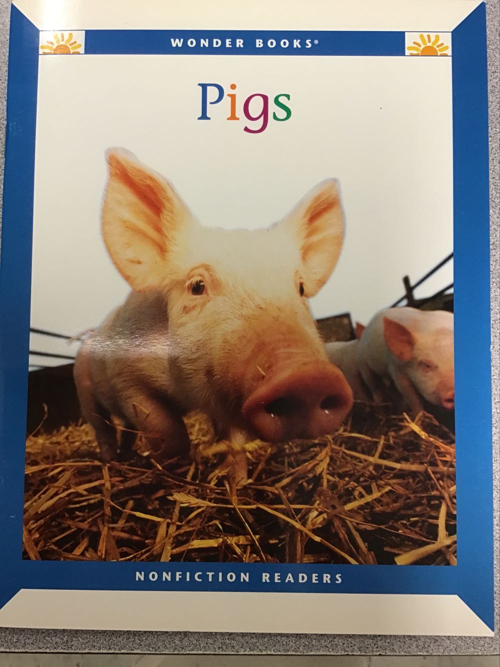 Pigs