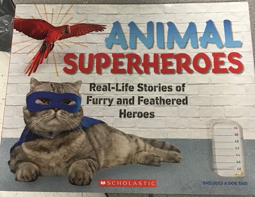 Animal Superheroes