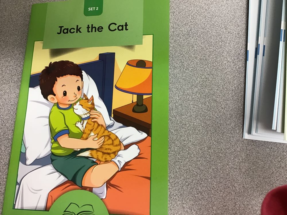 Jack the Cat