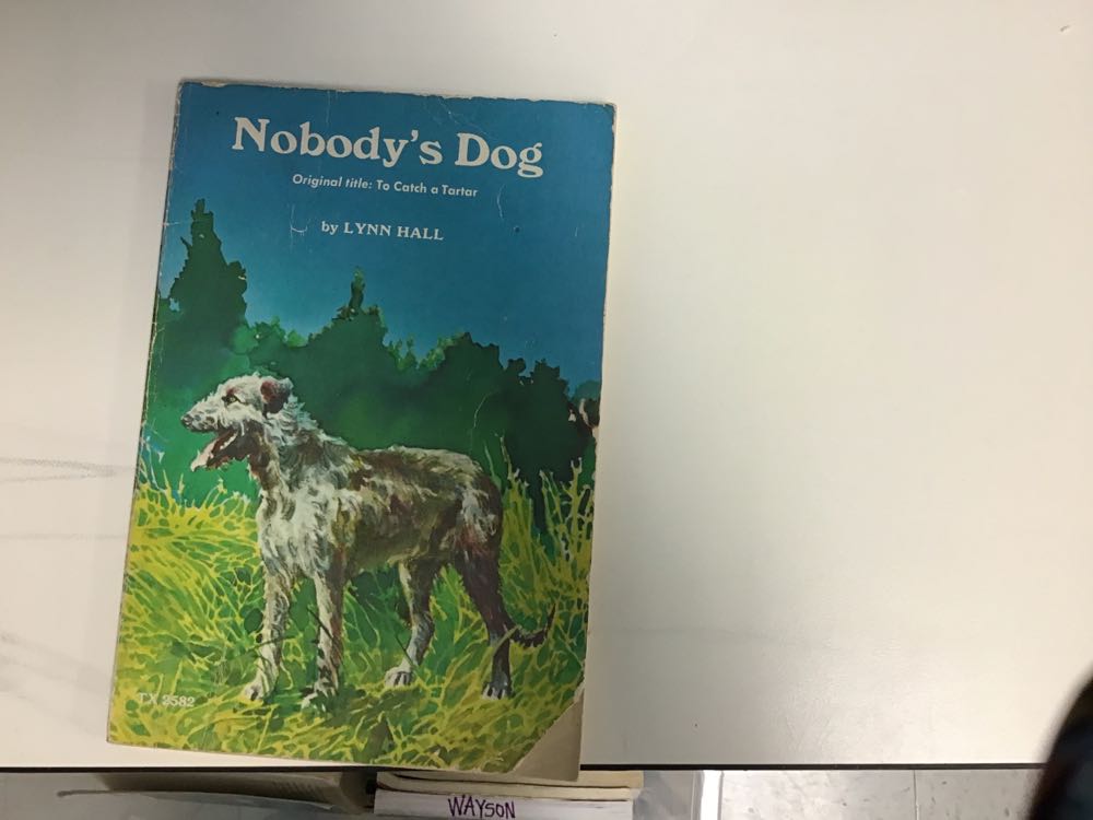 Nobody,s Dog