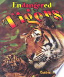 Endangered Tigers