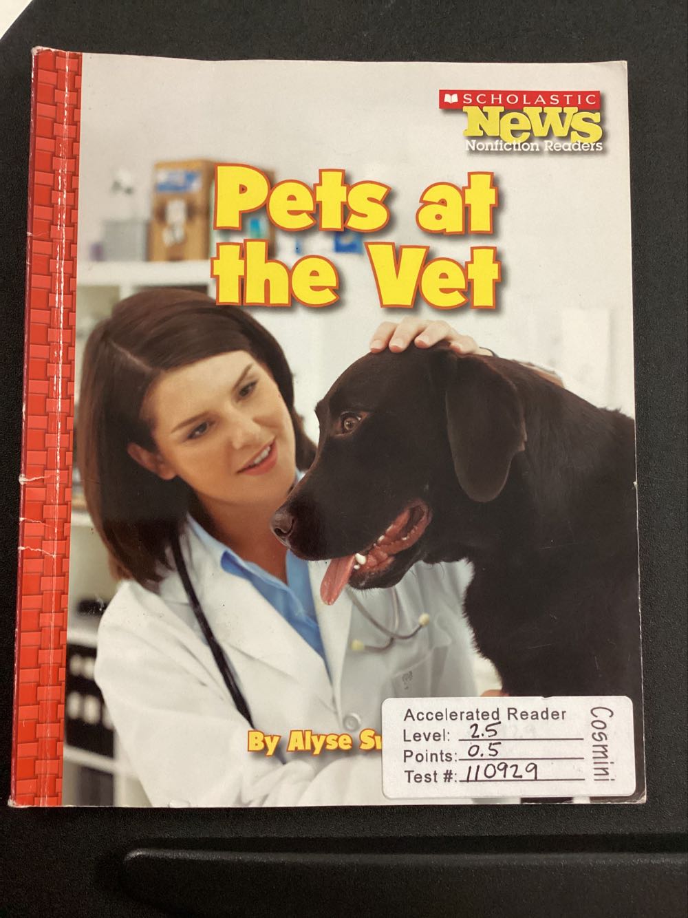 Pets At The vet