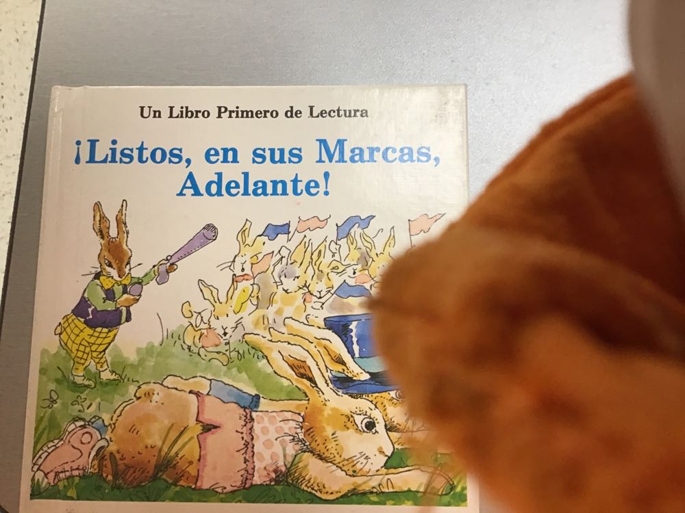 Listos En Sus Marcas Adelante!