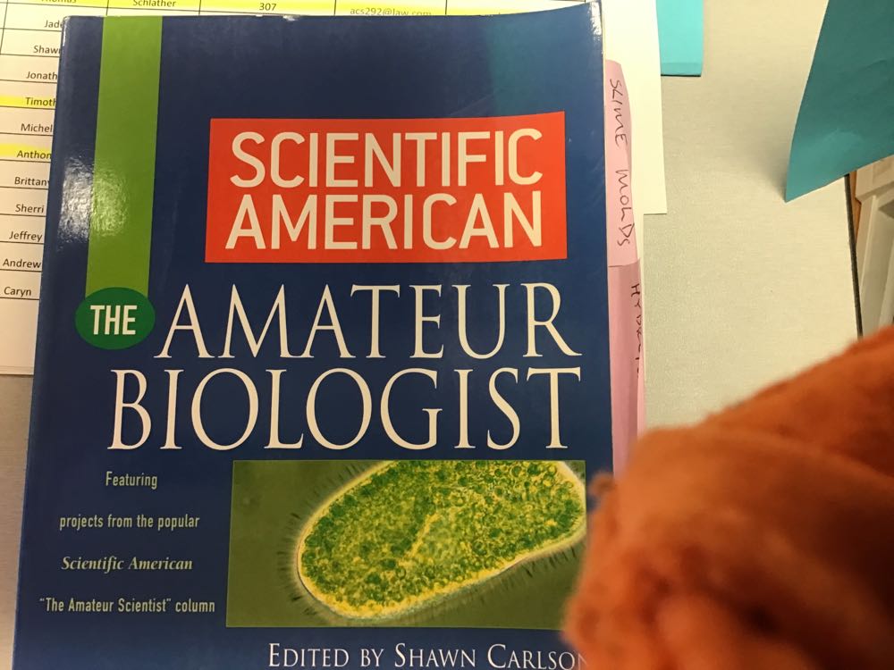 Scientific American The Amateur Biologist
