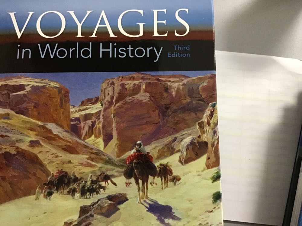 Voyages in World History