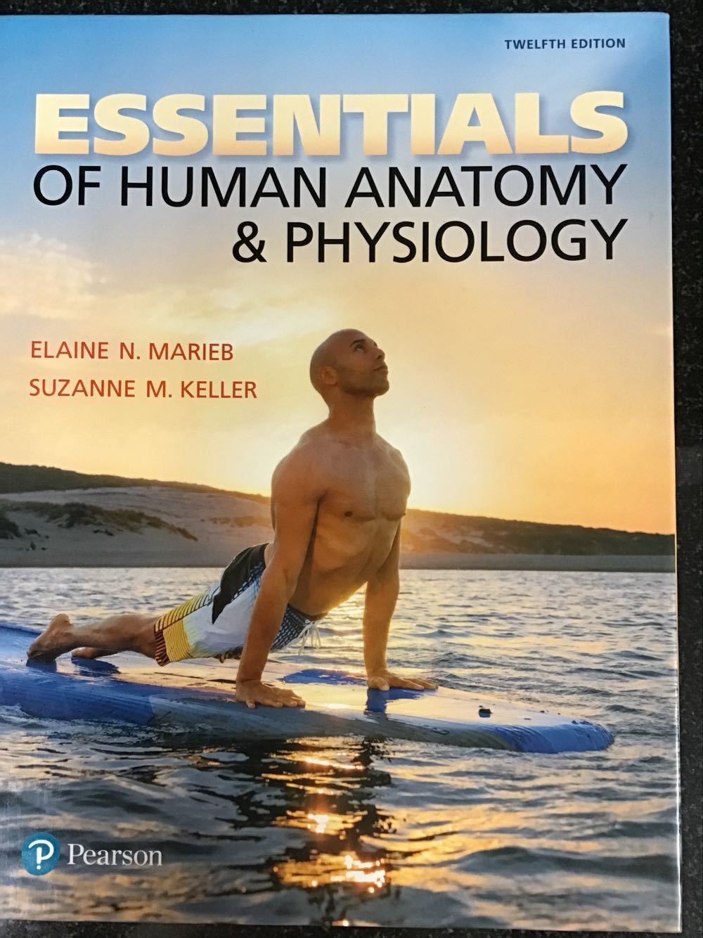 Essentials of Human Anatomy & Physiology