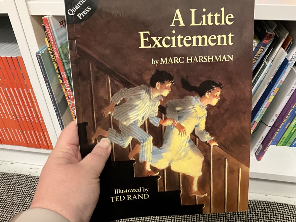 A Little Excitement - Marc Harshman book collectible [Barcode 9781891852213] - Main Image 1
