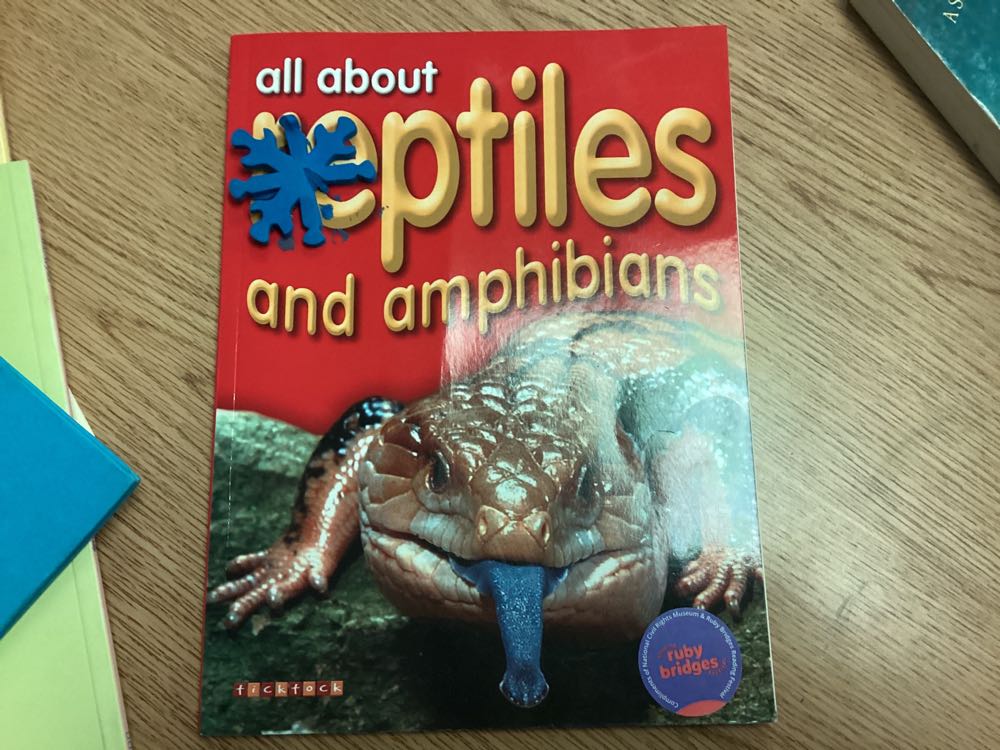 All About Reptiles And Amphibians - Dee Phillips book collectible - Main Image 1