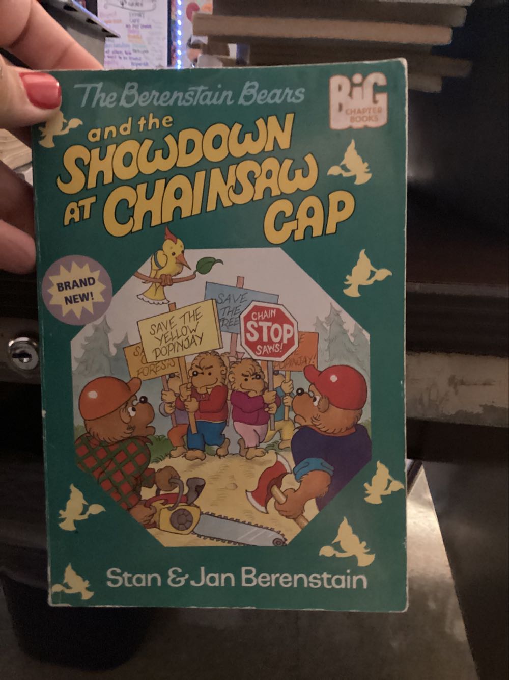 Berenstain Bears And The Showdown At Chainsaw Gap - Stan Berenstain book collectible - Main Image 1