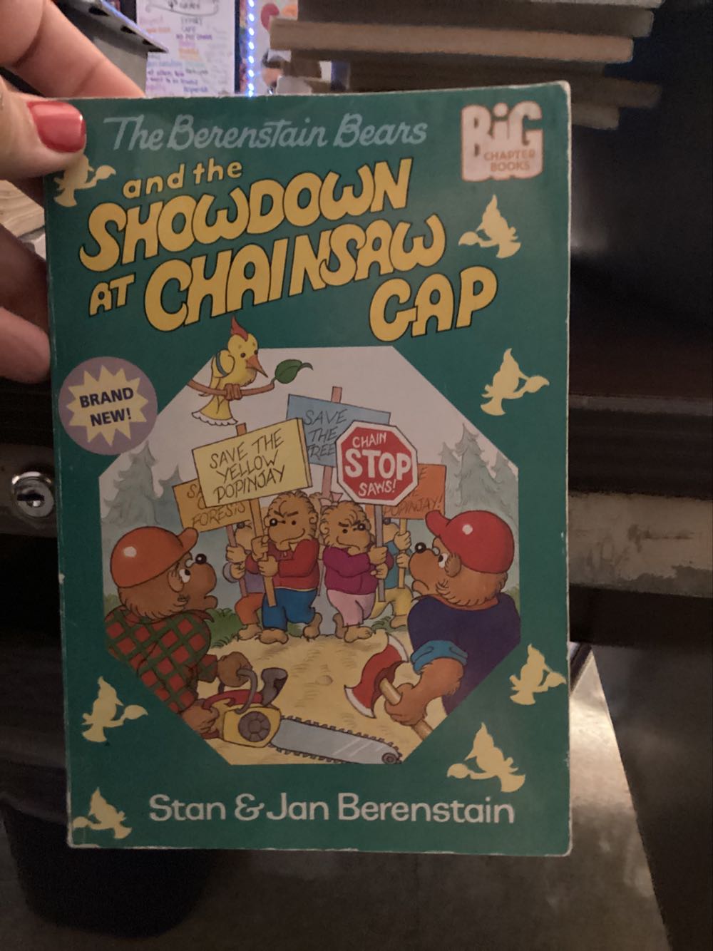 Berenstain Bears And The Showdown At Chainsaw Gap