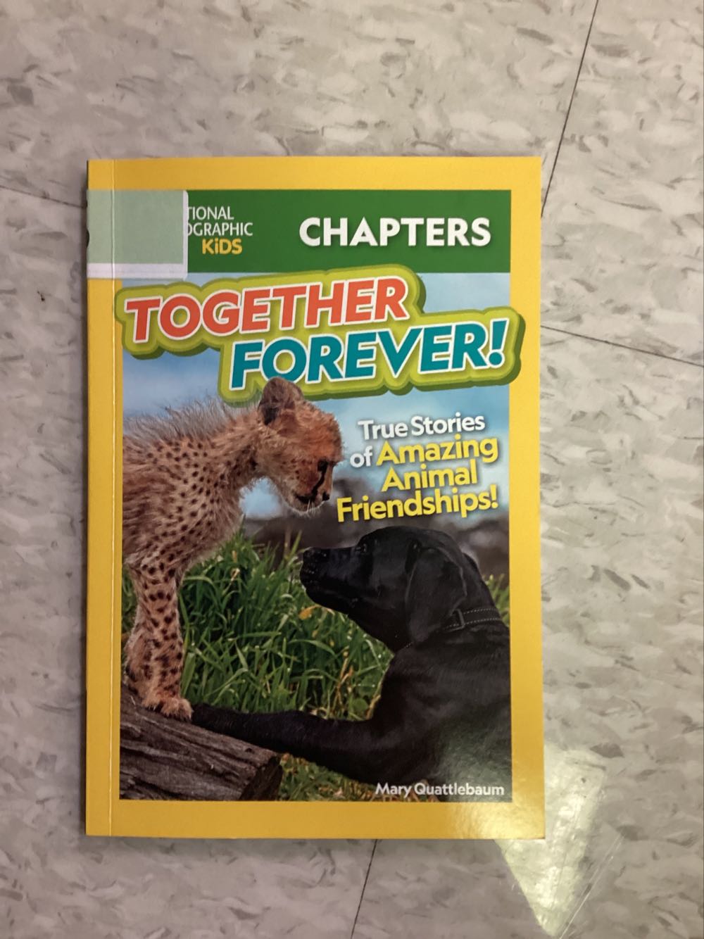 Together Forever! True Stories Of Amazing Animal Friendships