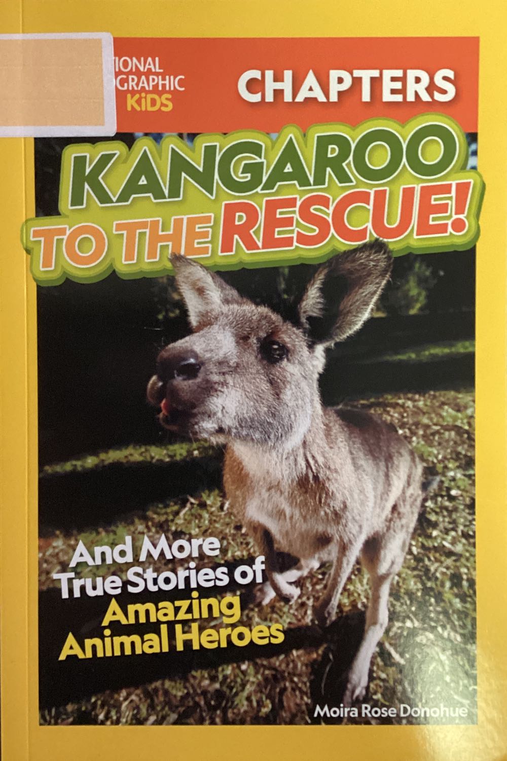 Kangaroo To The Rescue And More True Stories Of Amazing Animal Heroes