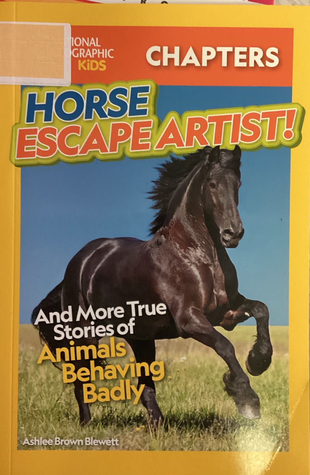 Horse Escape Artist!
