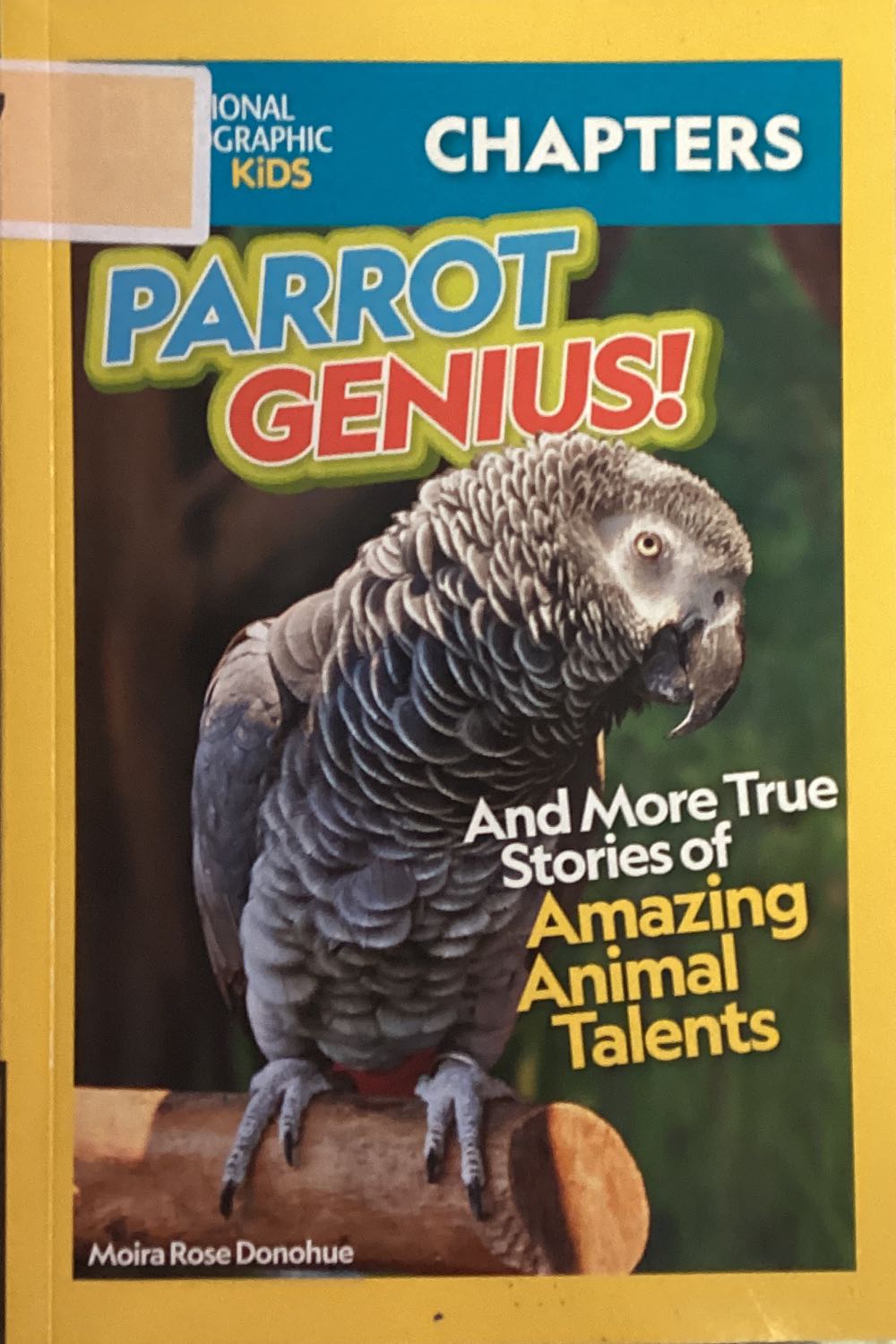 Parrot Genius! And More True Stories Of Amazing Animal Talents
