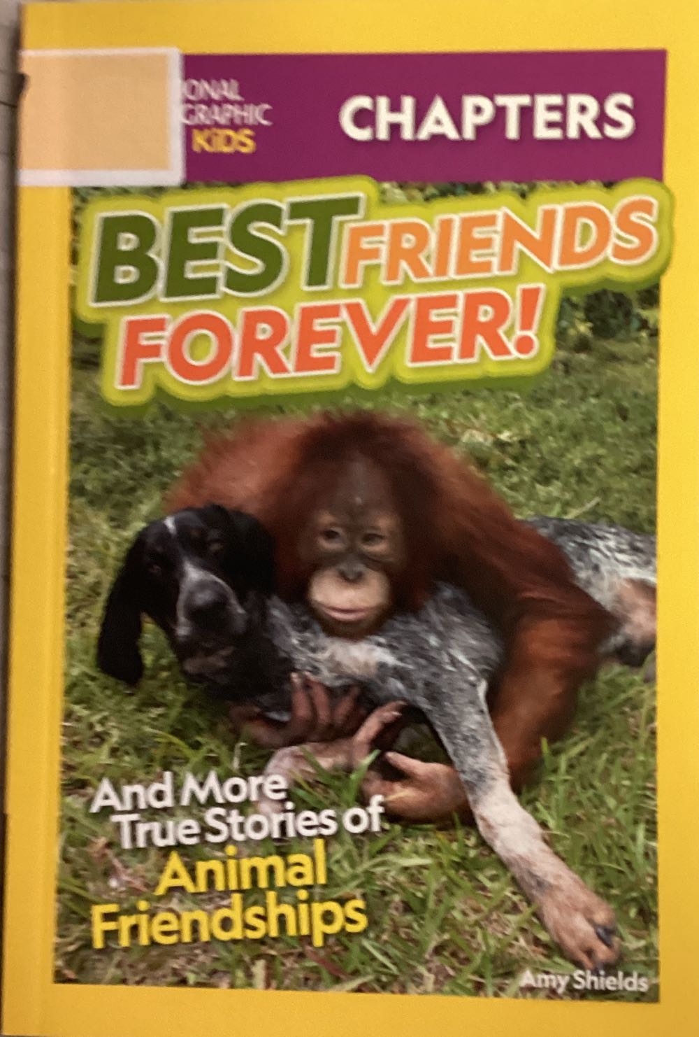 Best Friends Forever! And More True Stories Of Animal Friendships! - Amy Shields book collectible [Barcode 9781426374944] - Main Image 1