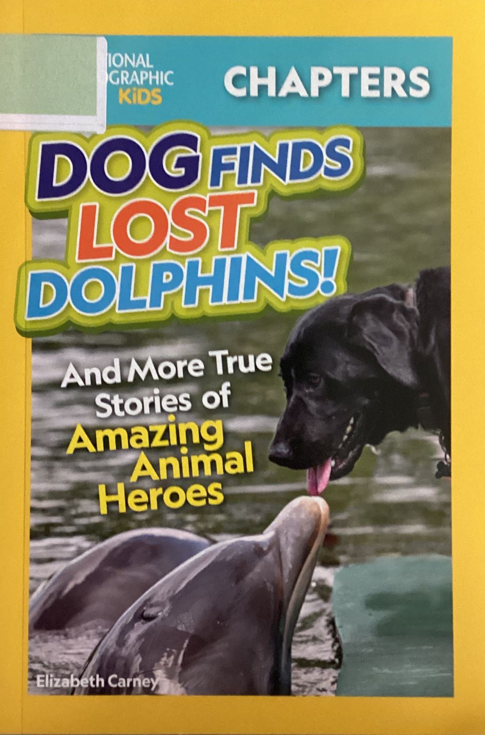 Dog Finds Lost Dolphins! And More True Stories Of Amazing Animal Heroes - Elizabeth Carney book collectible [Barcode 9781426375002] - Main Image 1