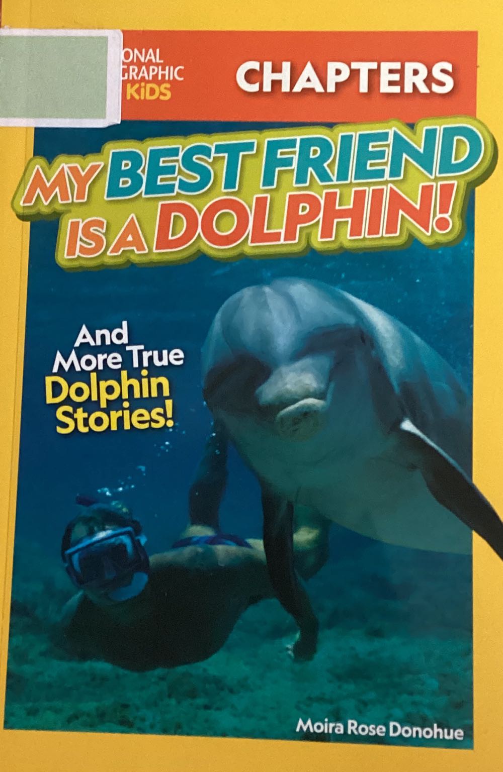 My Best Friend Is A Dolphin! And More True Dolphin Stories