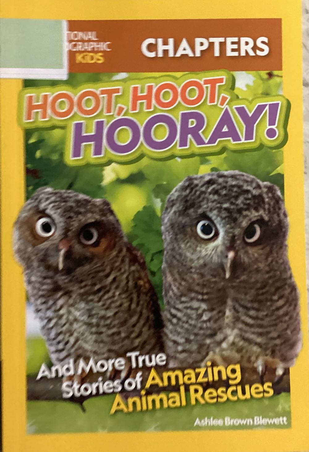 Hoot, Hoot, Hooray! - Ashlee Brown Blewett book collectible [Barcode 9781426374852] - Main Image 1