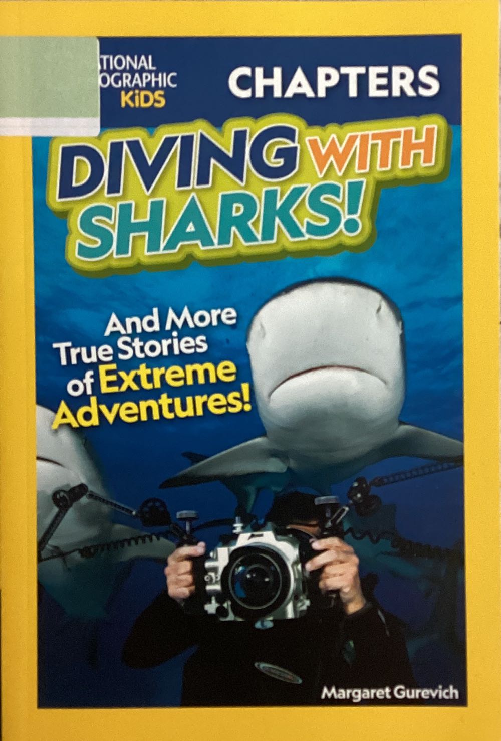 Diving With Sharks! And More True Stories Of Extreme Adventures