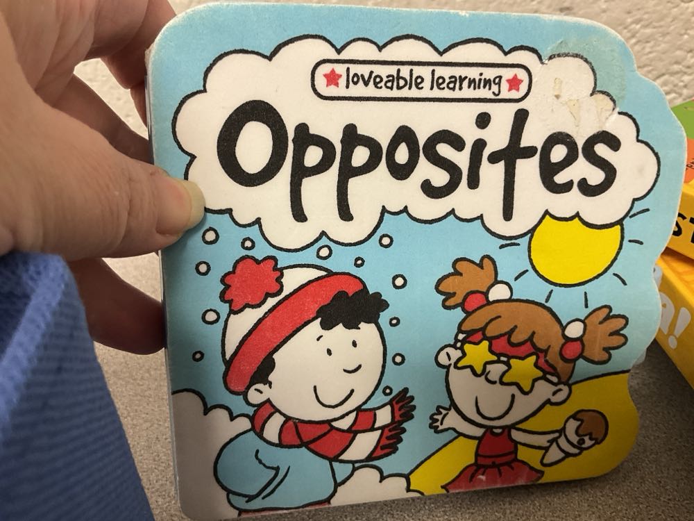 Loveable Learning Opposites