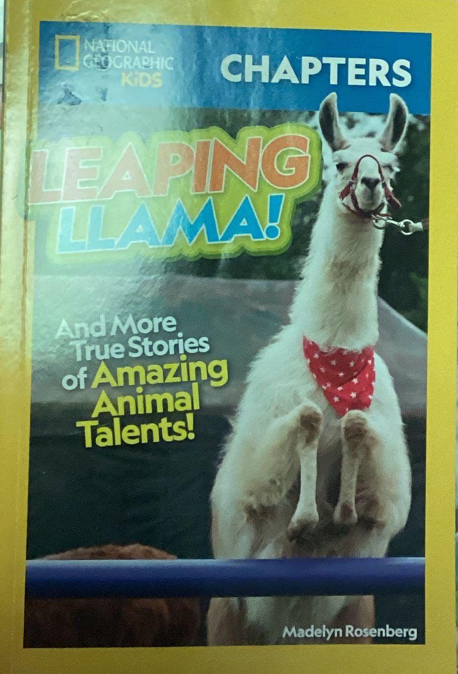 Leaping Lamas! And More True Stories Of Amazing Animal Talents!