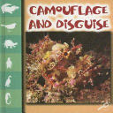 Camouflage and Disguise