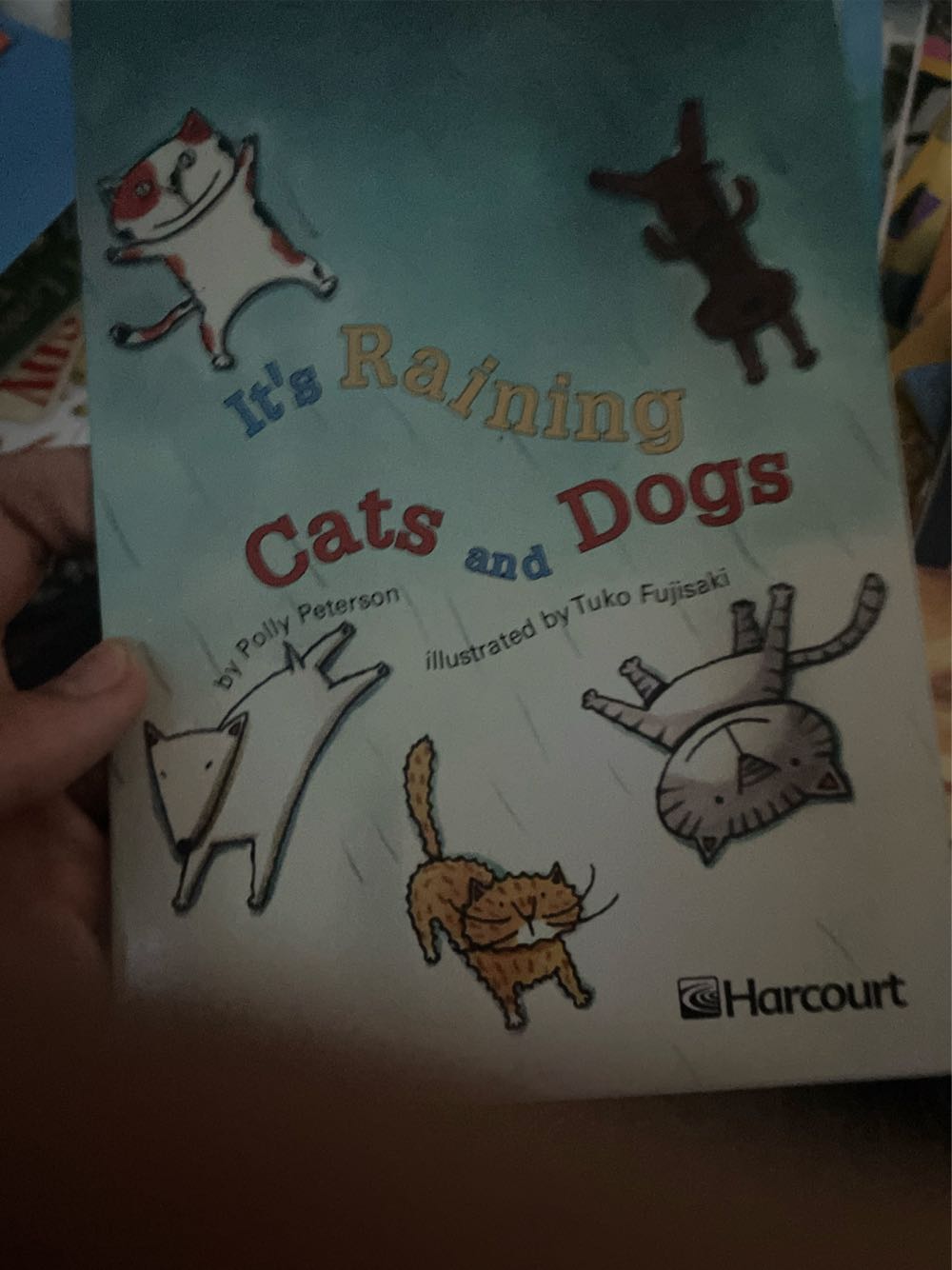 It’s Raining Cats and Dogs!, Ell Grade 3