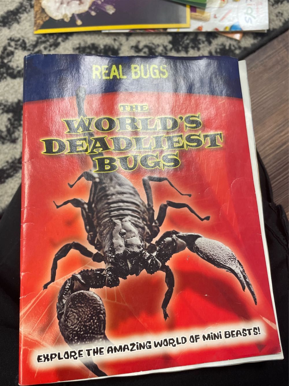 The World’s Deadliest Bugs