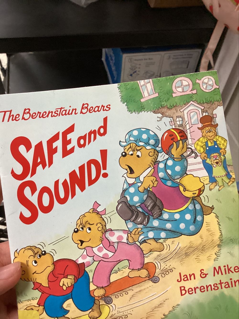 The Berenstain Bears Safe And Sound