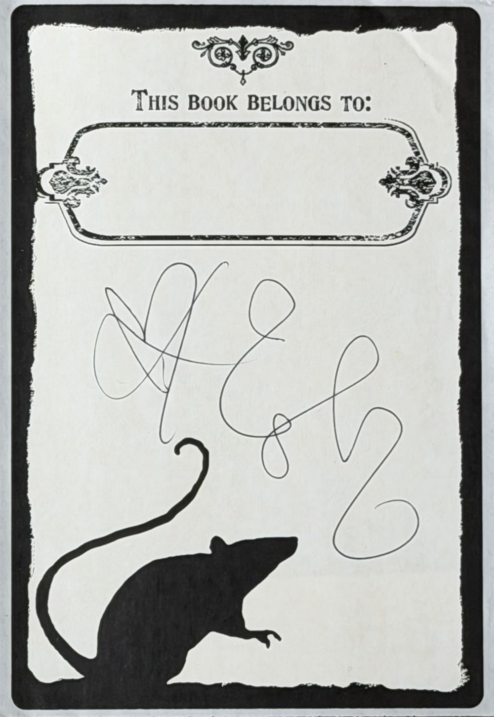 The Asylum For Wayward Victorian Girls - Emilie Autumn (Asylum Emporium - Hardcover) book collectible - Main Image 2