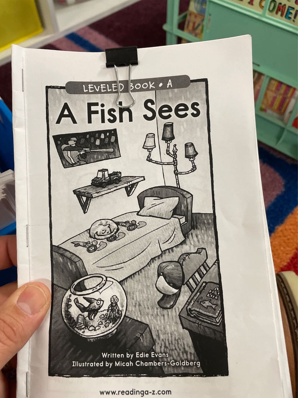 A Fish Sees