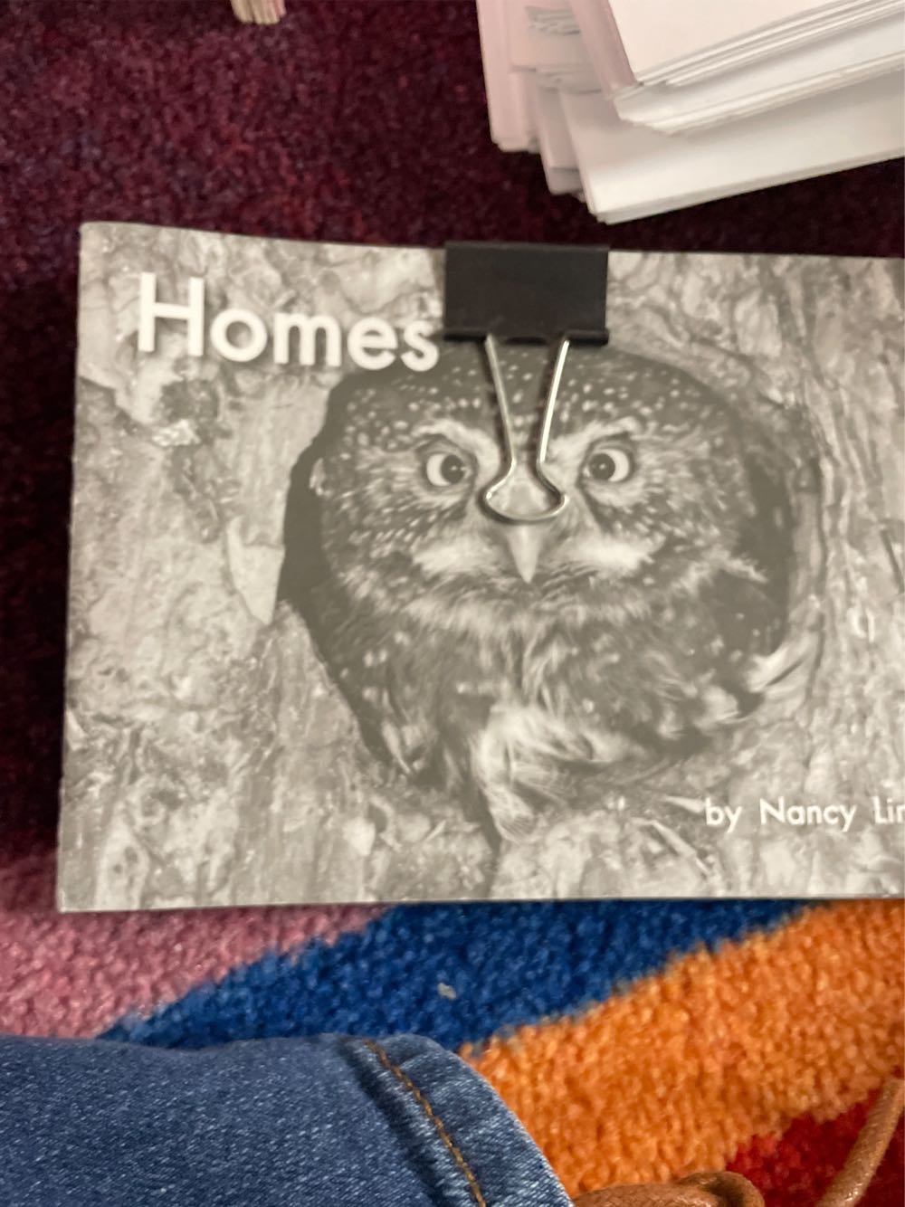 Fountas & Pinnell Leveled Literacy Intervention